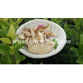 Grade AAA Dried Boletus Porcini Price Boletus